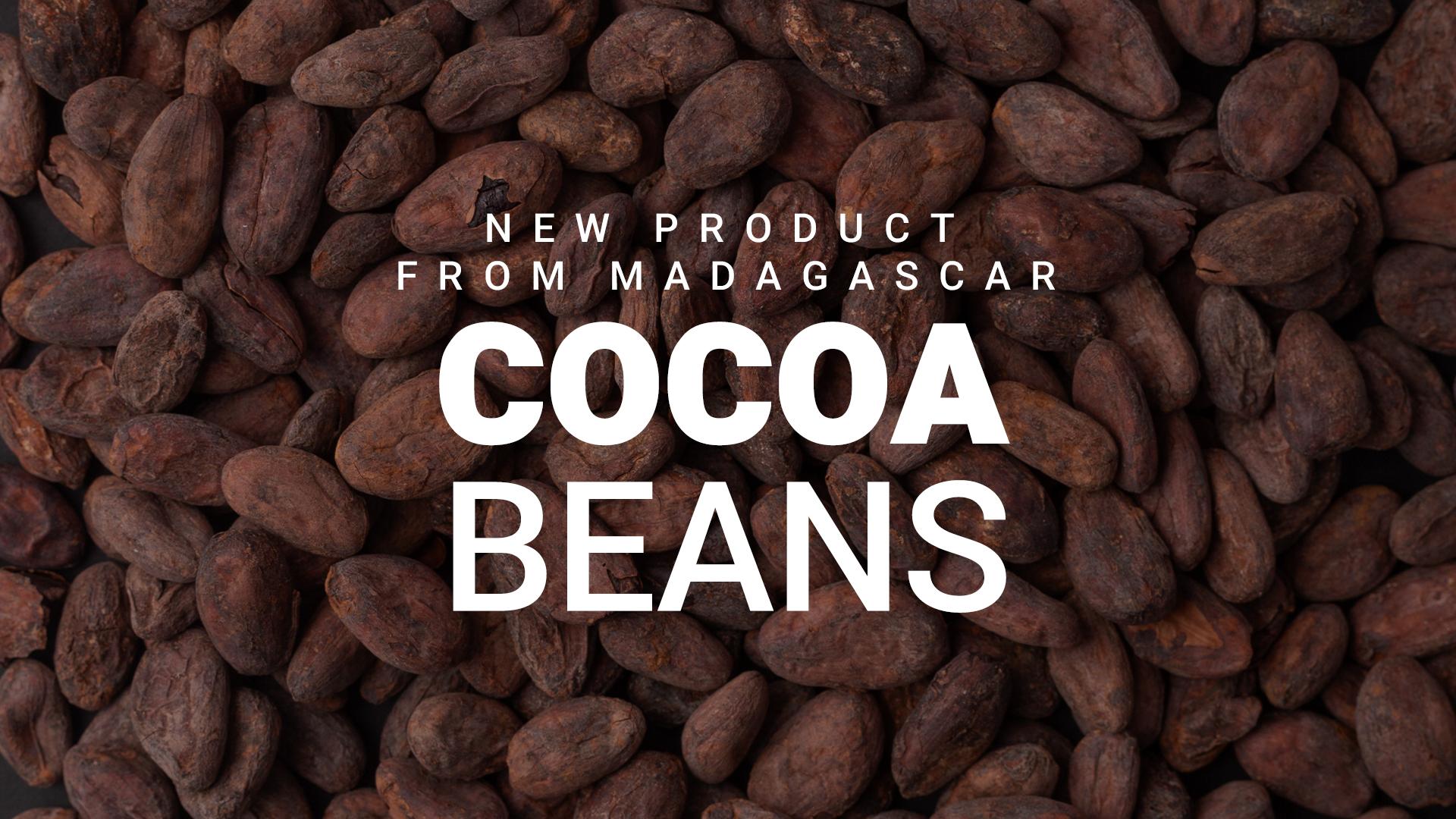 cocoaBeans